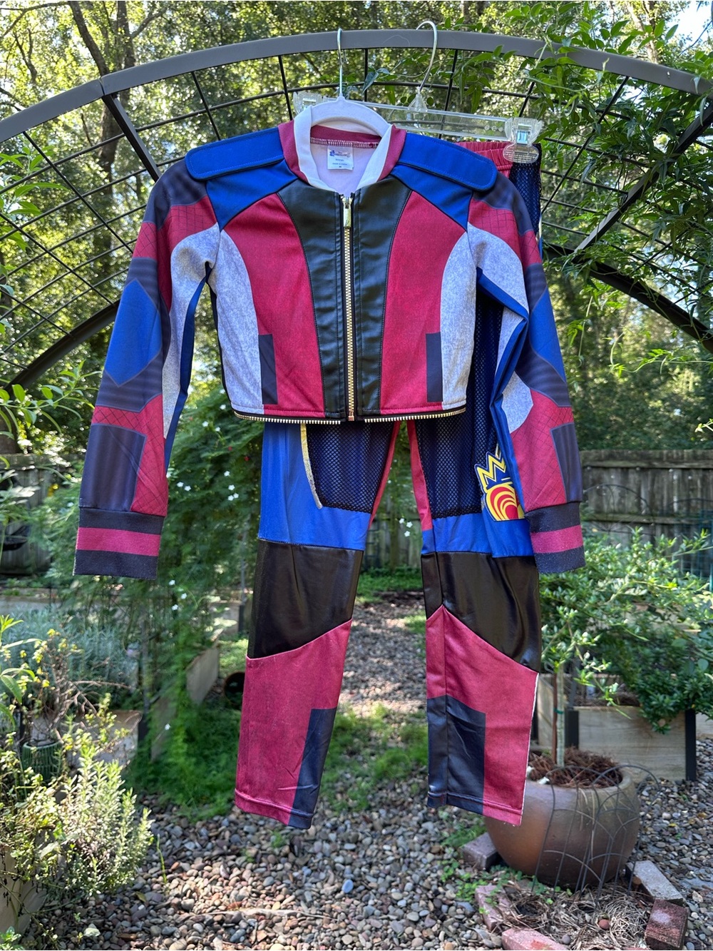 Disney descendants costume: Evie